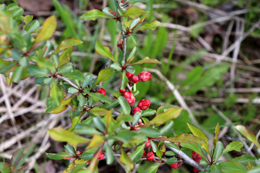 Similar image 22169379