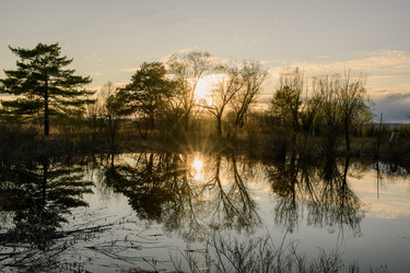 Similar image 22179507