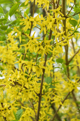 Similar image 22168094