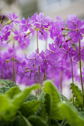 Similar image 22168096