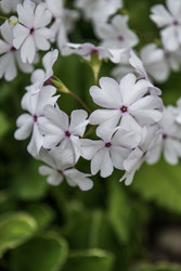 Similar image 22168097