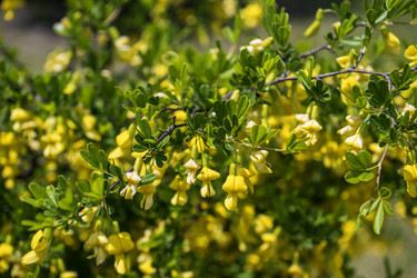 Similar image 22173902