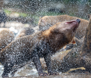 Similar image 22174341