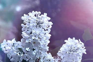 Similar image 22174767