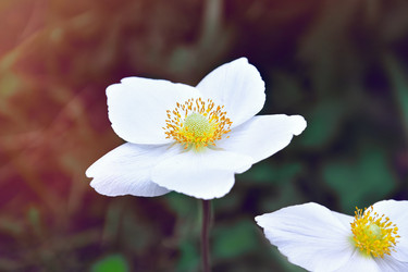 Similar image 22174768