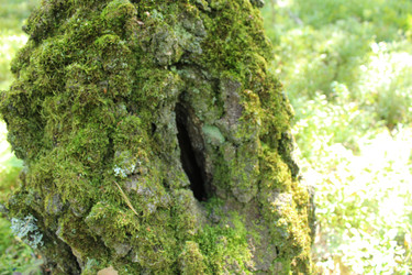 Similar image 22181251