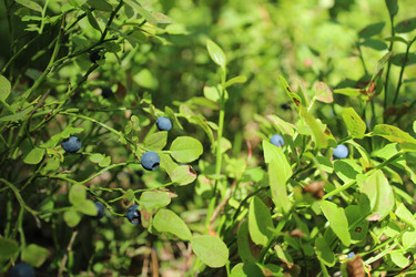 Similar image 22181252