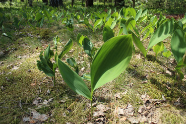 Similar image 22181255