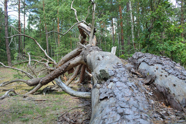 Similar image 22181256