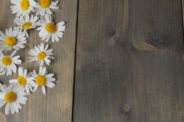 Similar image 22181257