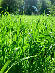 Similar image 22168098