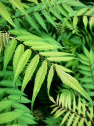 Similar image 22175862