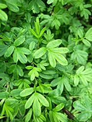 Similar image 22175863