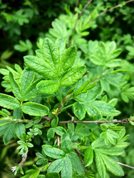 Similar image 22172617