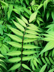 Similar image 22172618