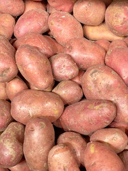 Similar image 22168101