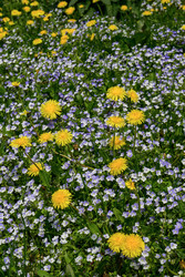 Similar image 22168104