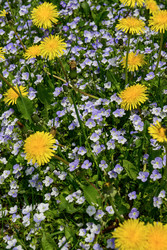 Similar image 22168105