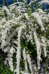 Similar image 22173905