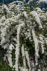 Similar image 22173906