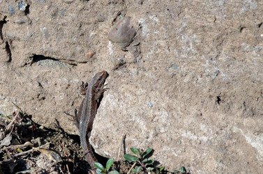 Similar image 22168871