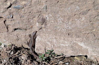 Similar image 22168872