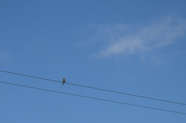 Similar image 22168873