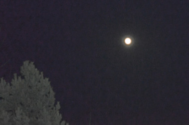 Similar image 22168874