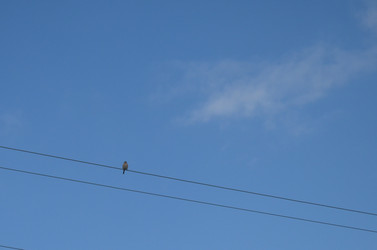 Similar image 22168875