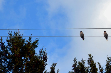 Similar image 22168878