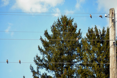 Similar image 22168879