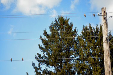 Similar image 22168880