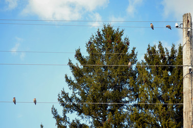 Similar image 22168881