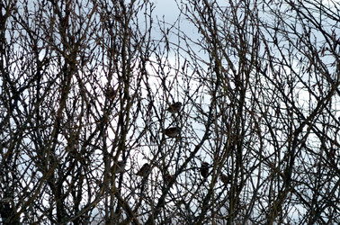 Similar image 22168886