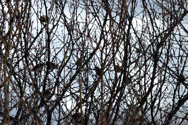 Similar image 22168887