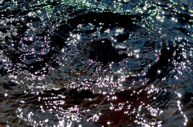 Similar image 22168990