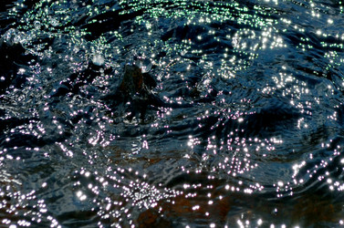 Similar image 22168991