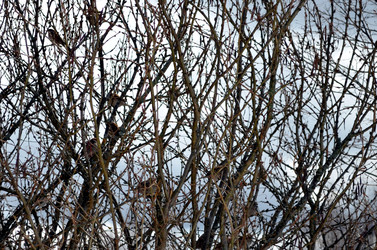 Similar image 22168992