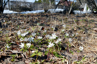 Similar image 22168993