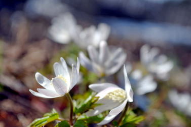 Similar image 22168994