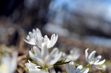 Similar image 22168995