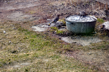 Similar image 22168996