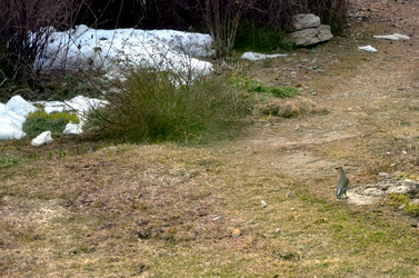 Similar image 22168997