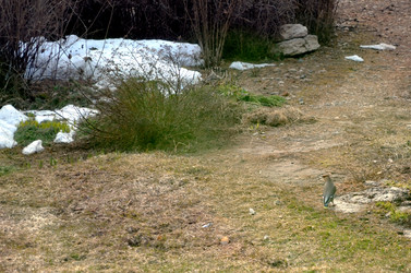 Similar image 22168998