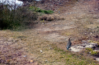 Similar image 22168999