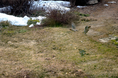 Similar image 22169000