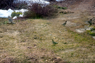 Similar image 22169001