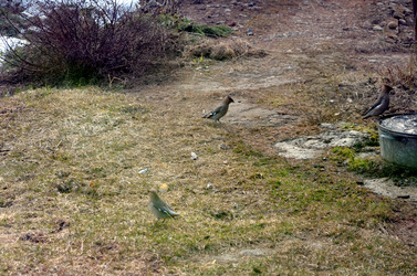 Similar image 22169002