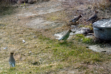 Similar image 22169003