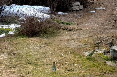 Similar image 22169004